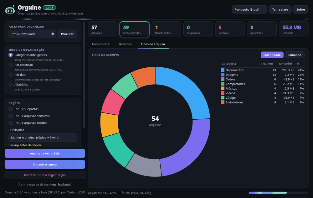 Janela do Orguine com a linha neon animada, o gráfico de tipos de arquivo e a barra de progresso
